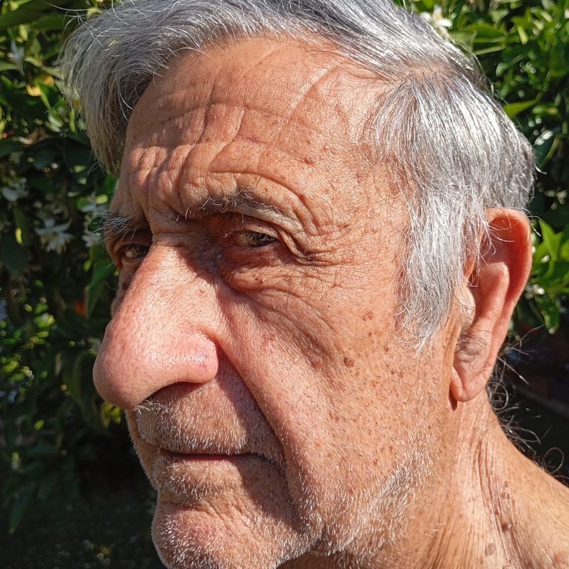LLUIS