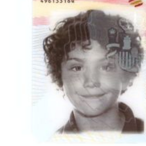 GUILLEM