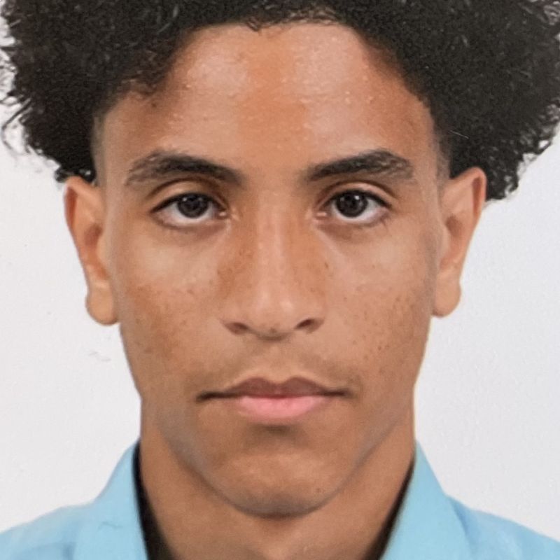MICHEL DIAMANT
