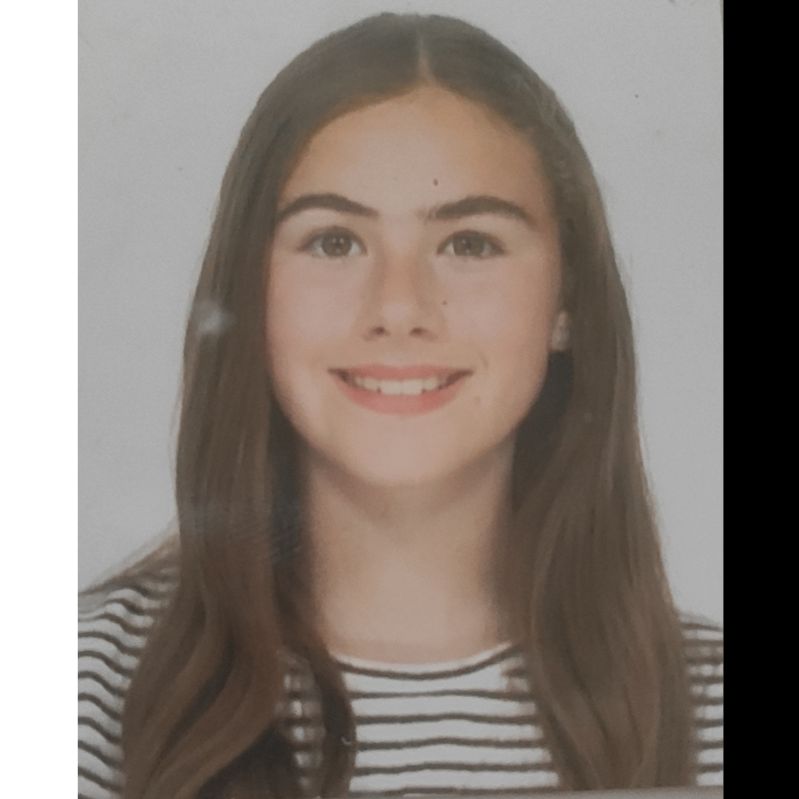 INES