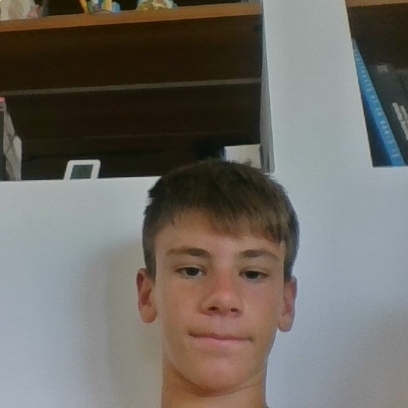 VICENT