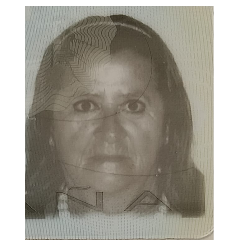 MARIAN ROSA DE LA PURIFICACION