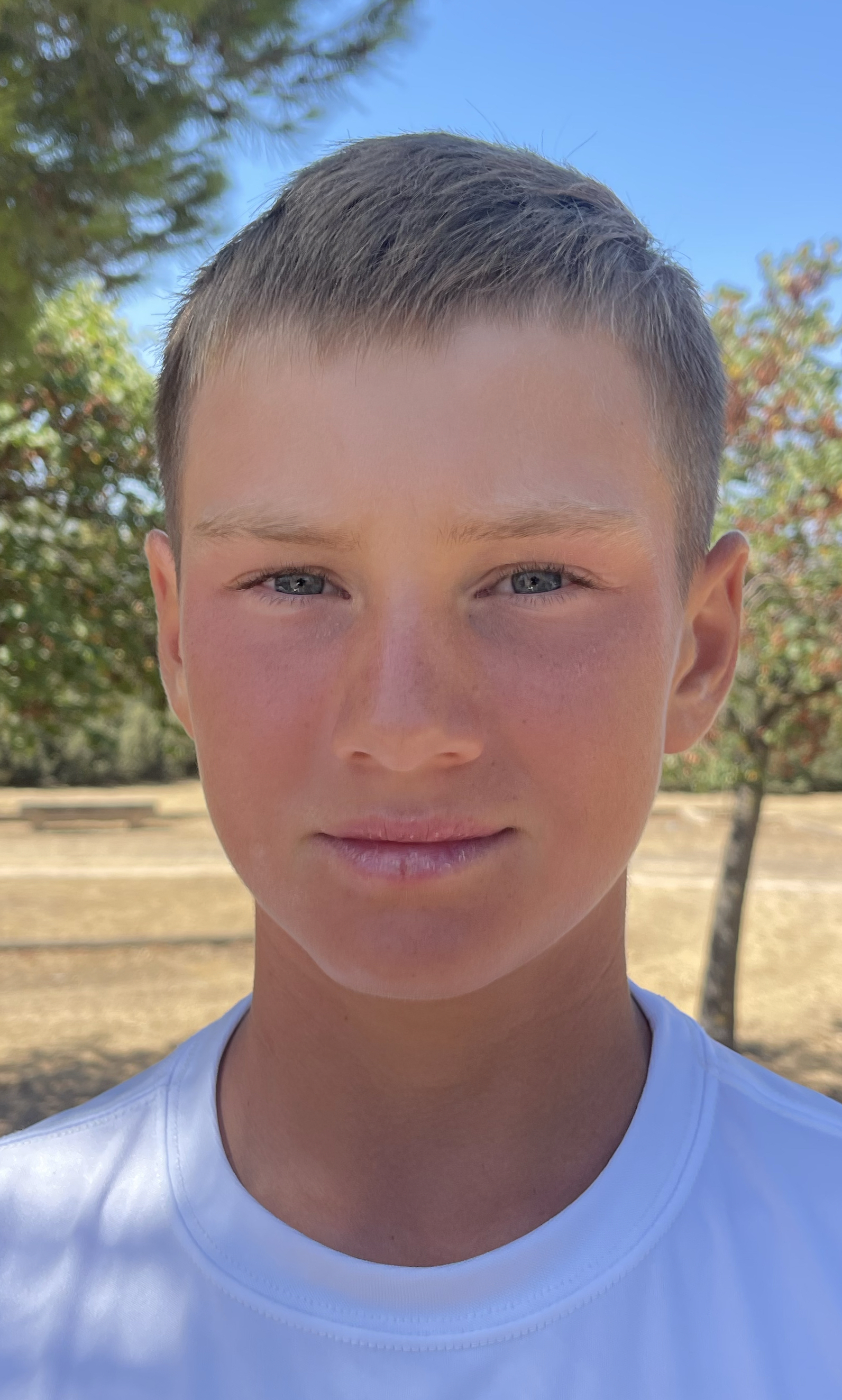 ARTEM