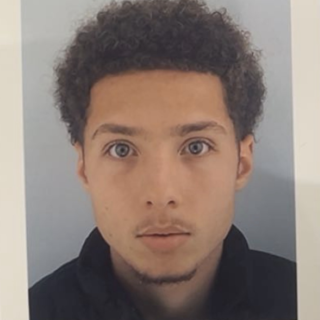 RAPHAÃ‹L