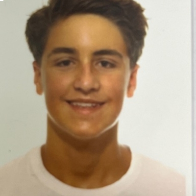 PAU VICENT