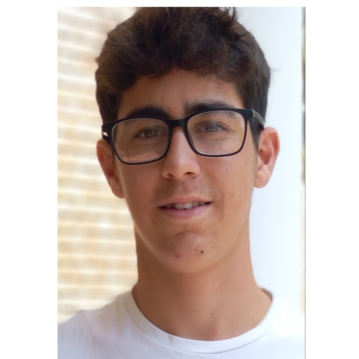 LUIS
