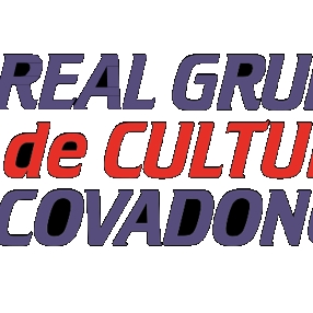 REAL GRUPO DE CULTURA COVADONGA ALEVIN SUB-12 A