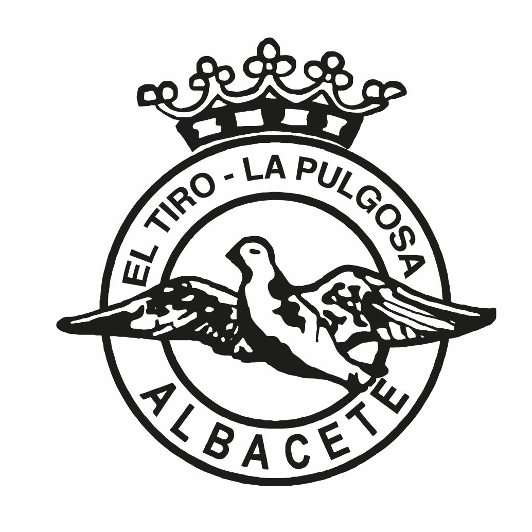 C.D. SOCIEDAD DEPORTIVA DE EL TIRO-LA PULGOSA INFANTIL SUB-14 B
